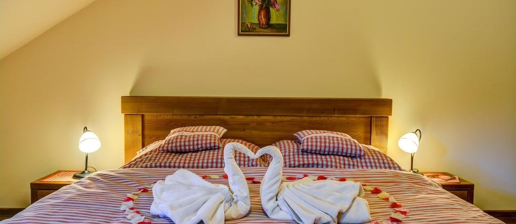 Wellness Hotel Ondrášův Dvůr, 比拉 — 照片 1