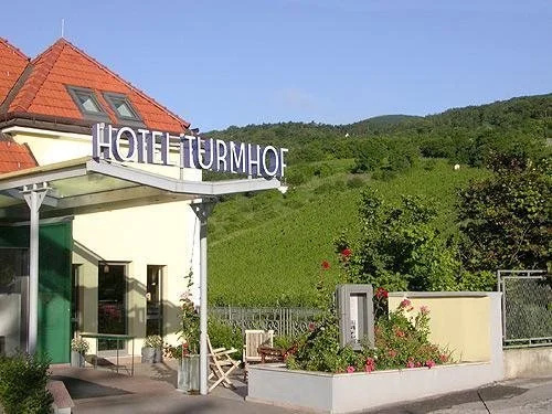 Hotel Turmhof, 古姆波尔德斯基兴 — 照片 1