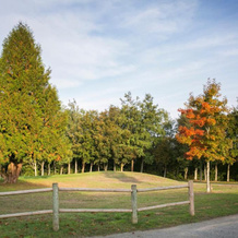Normandy Country Club, Saint-Martin-du-Vieux-Belleme — photo 5