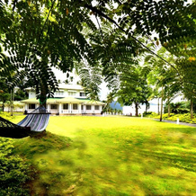 The Flame Tree Estate, Канди — фото 3