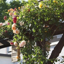 Weingut Gästehaus Rummel, Шляйх — фото 2