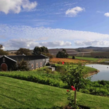 Aaldering Vineyards and Wines Luxury Lodges, 斯泰伦博斯 — 照片 2