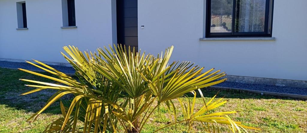 Maison Climatisée Proche Plage, Бигано — фото 1