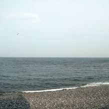 Dancing Whale Pension, Ulsan — photo 3