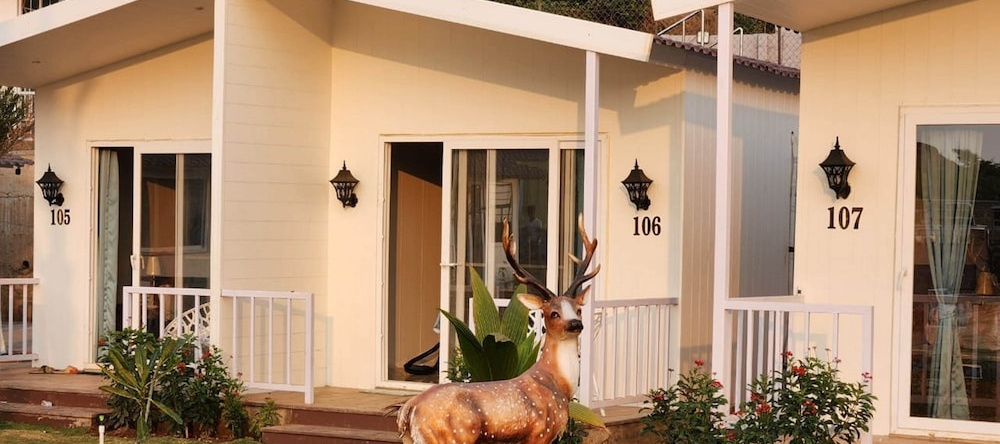 Casa De Turtle, Shrivardhan — photo 1