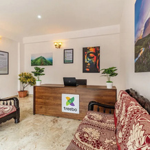 Treebo Arabica Valley-Coffee Plantation Retreat, 凯马拉 — 照片 2