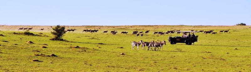 Pollards Inn Hotel, Kwantu Game Reserve, Сидбери — фото 1