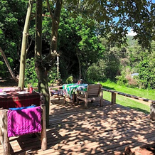 Jungle Guest House, Панг Мапха — фото 2