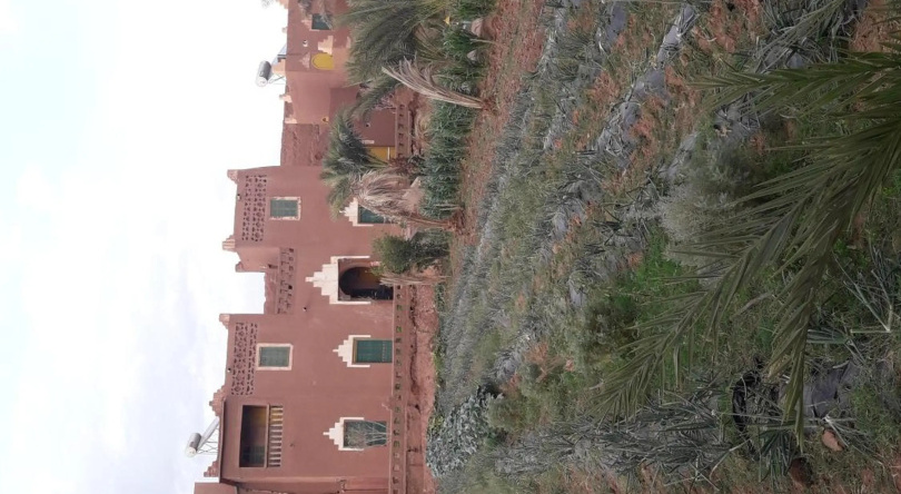 Hostel jnane dar diafa is in the center of tamegrouteface of the bibiotheque, Tamgroute — photo 1