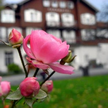 Parkhotel, Bad Ragaz — photo 4