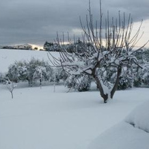 Bed and Breakfast Arcobaleno, Casteltermini — photo 5