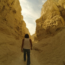Shkedi's CampLodge - Hostel, Neot HaKikar — photo 5