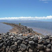 Molokai Shores 121, Каунакакаи — фото 3