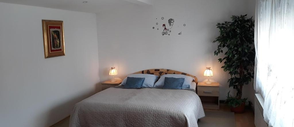 Apartmani Kristanic, 卡尔洛瓦茨 — 照片 1