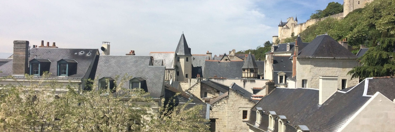 Best Western Hotel De France, 希农 — 照片 1