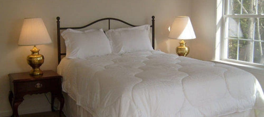 The Baywood Bed & Breakfast, 查尔斯角 — 照片 1