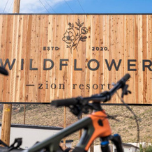 Zion Wildflower Resort, Вирджин — фото 3