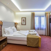 Bükkös Hotel & Spa, Сентендре — фото 4