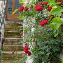 Rouge Boutique hotel - appartements, 托康-圣阿普尔 — 照片 4