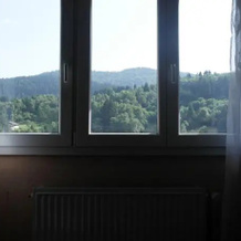 Les Petits Sentiers, Fresse-sur-Moselle — photo 2