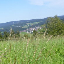 Lush Apartment In Furtwangen Near Black Forest With Balcony, Фуртванген — фото 4