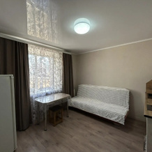 S Horoshim Remontom Flat, Uchaly — photo 5