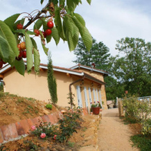 Maison d'Hotes du Vert Vallon, 泰泽 — 照片 2