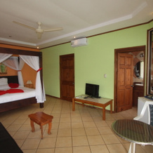 Arenal Garden Lodge, 埃尔卡斯蒂略 — 照片 5