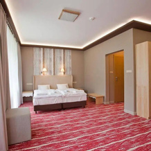 Hotel Piwniczna Spa & Conference, 皮维奇纳兹德鲁伊 — 照片 4