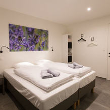 Countryside Delight, a Drive Away From Brugges, Lille and Ghent, 兹韦弗海姆 — 照片 5