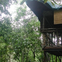 Niketh Resorts, Велламундра — фото 3