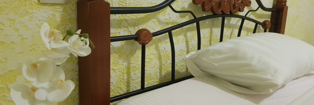 Viat VKO Guest house, 伏努科沃 — 照片 1