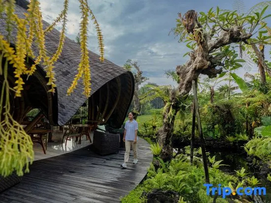 E Sanctuary Resort Ubud, 乌布 — 照片 1
