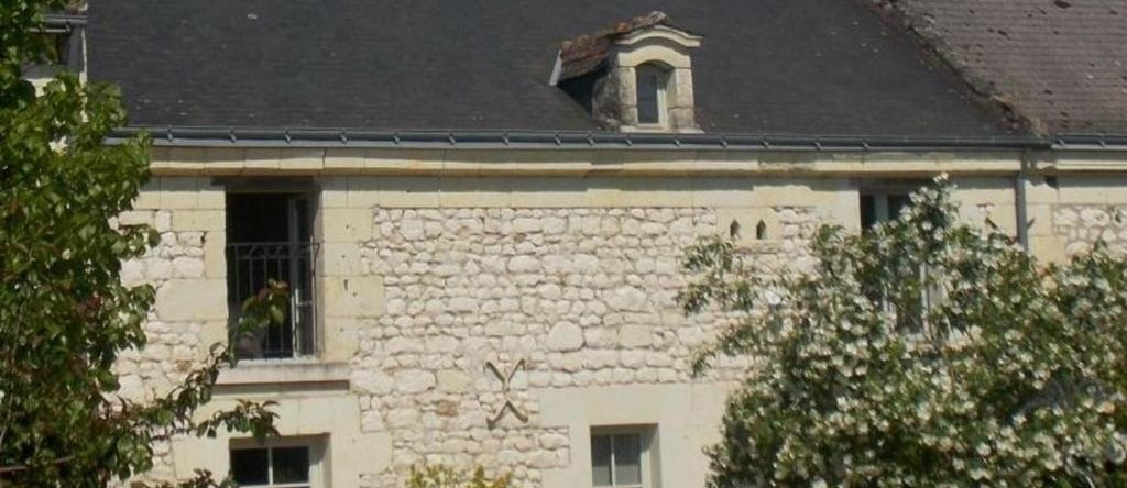 Gîte Huismes, 3 pièces, 5 personnes - FR-1-381-370, 惠伊姆 — 照片 1