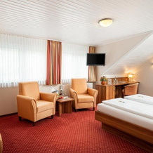 Hotel Pistono, 迪布利希 — 照片 3