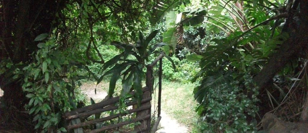 Delicious Monster B&B, Port St. Johns — photo 1