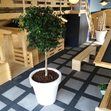 Lodgehotel de Lelie, 马库姆 — 照片 2