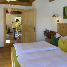 Gasthof Pension Appartements Mitterdorfer, 阿布法尔特斯巴赫 — 照片 4