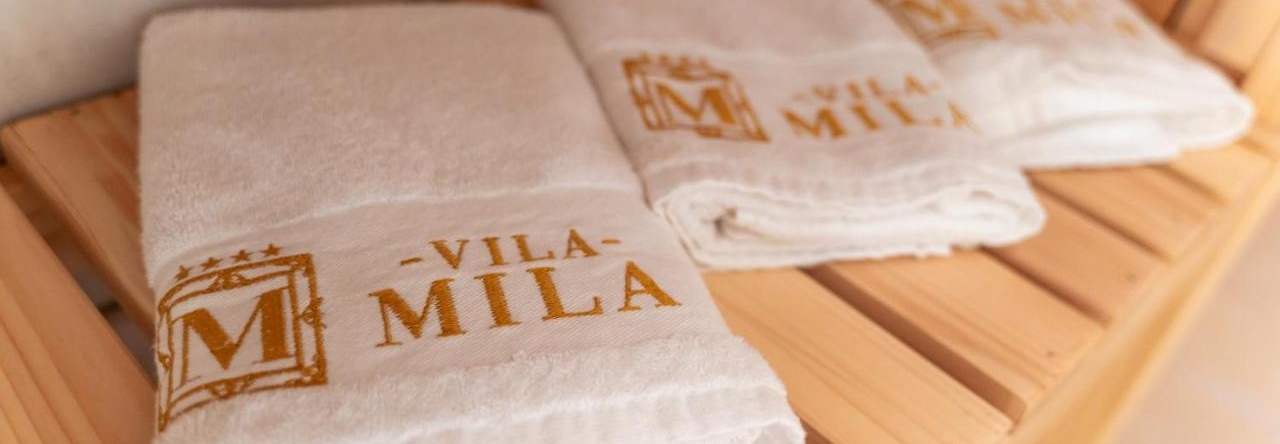 Vila Mila, Аранджеловац — фото 1