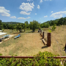 Agriturismo La Palma Sambuca val di Pesa, 塔瓦内莱瓦尔迪佩萨 — 照片 3