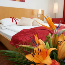 City-Hotel Mödling, Modling — photo 4