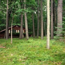 Lakeside Country Cottages, Hawley — photo 3