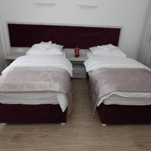 Apis Hotel, Требинье — фото 2