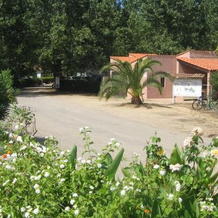 Camping Benista, Cauro — photo 5