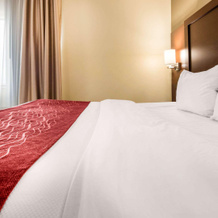 Comfort Inn & Suites Streetsboro - Kent, Тритсборо — фото 5