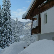 Hotel Ca' del Bosco, Selva di Cadore — photo 3
