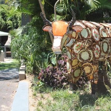 Port St Johns River Lodge, 圣约翰港 — 照片 4