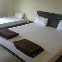 Uday Hill Resort, Saputara — photo 5