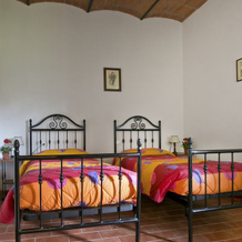 Fattoria Della Nave, 泰拉诺瓦布拉乔利尼 — 照片 5