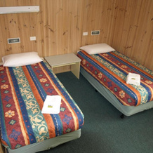 Cowra Holiday Park, 考拉 — 照片 3